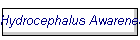 Hydrocephalus Awareness