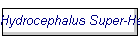 Hydrocephalus Super-Heroes